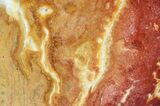 Polished Noondine Chert (Stromatolite) Slab - Billion Years #63296-1